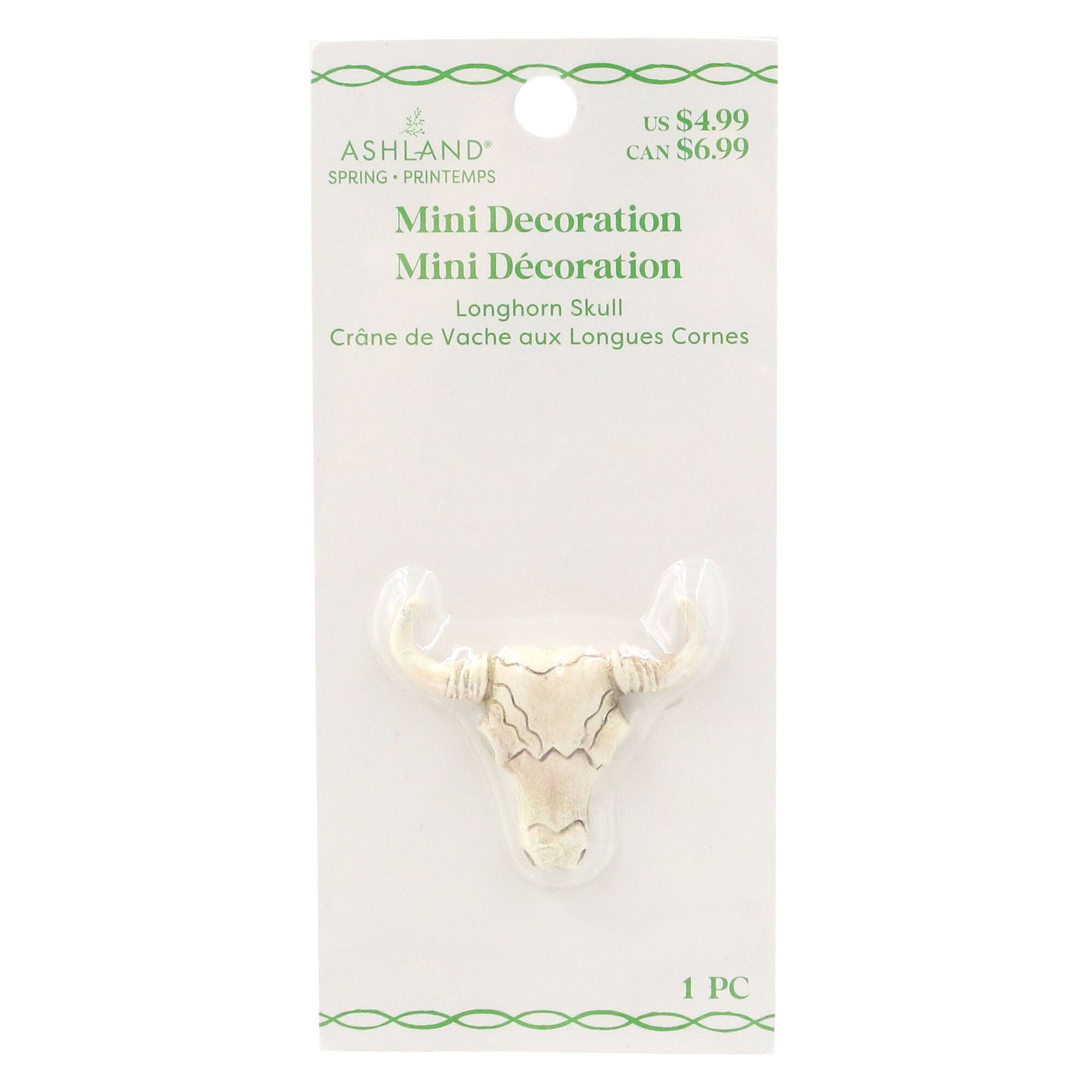 Mini Longhorn Skull by Ashland®
